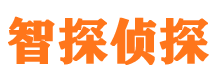 宁津市私家侦探